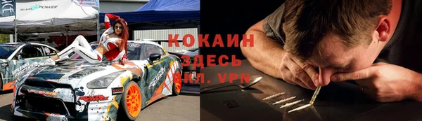 крисы Корсаков