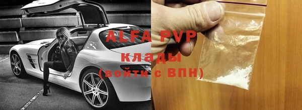 крисы Корсаков