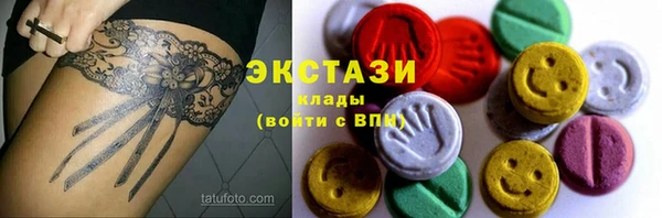 крисы Корсаков