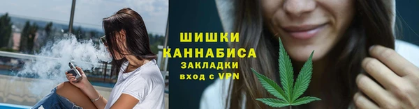 крисы Корсаков