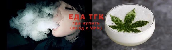 крисы Корсаков