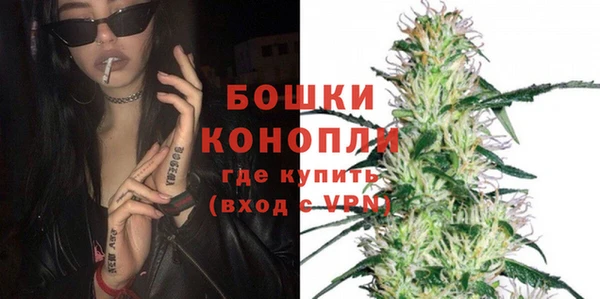 молекула духа Краснослободск