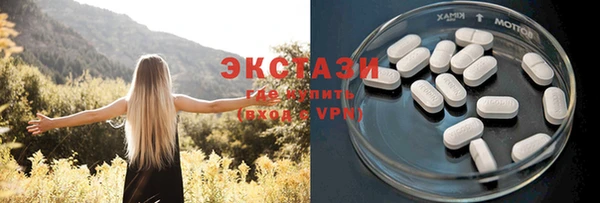 молекула духа Краснослободск