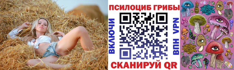 Галлюциногенные грибы прущие грибы хочу наркоту Трёхгорный